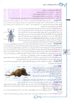دانلود پی دی اف کتاب زیست شناسی جامع پینوکیو جلد دوم خیلی سبز ۷۳۱ صفحه pdf-1