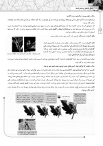 دانلود پی دی اف کتاب زیست شناسی یازدهم نشرالگو ۸۵۶ صفحه pdf-1