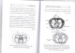 دانلود کتاب روشهای تائو ۴۵ صفحه PDF-1