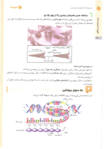 دانلود پی دی اف کتاب جمع بندی زیست شناسی مهروماه ۴۹۲ صفحه pdf-1